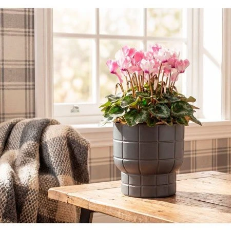 Кашпо 1л 150мм пластик КАРЕ со вставкой графитовый (16)