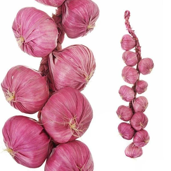 Муляж Лук 49см пластик 33-13 (10/240)