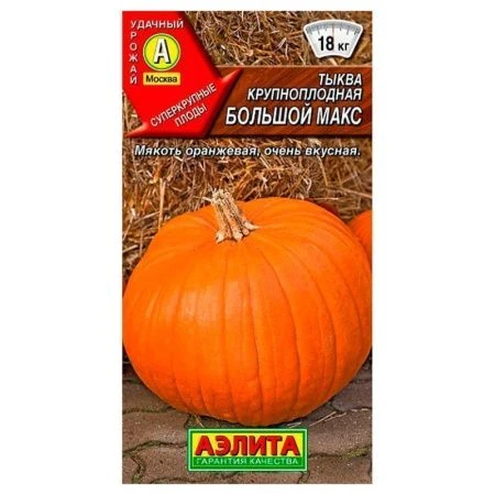 Семена Тыква крупноплодовая Большой макс 1г. (цветной пакет)