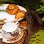 Чайный набор 12пр фарфор ОХОТА на 6 персон 300мл (8)