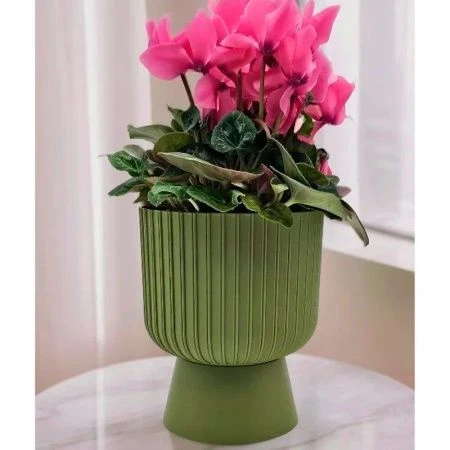 Горшок цветочный 4,6л d20,5см пластик БЕКЕР папоротник (4)