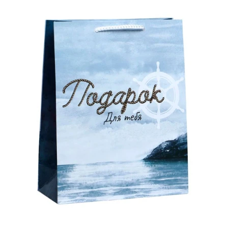 Пакет бумажный 21*25*8см Present for you (1/350) Пакет бумажный 21*25*8см Present for you (1/350)