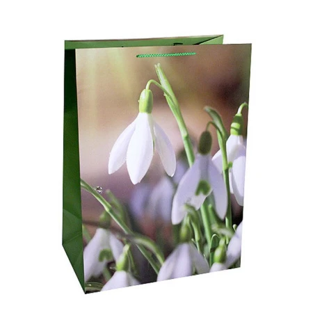 Пакет бумажный 40*55*24см Первый подснежник 26/145 (12/144)