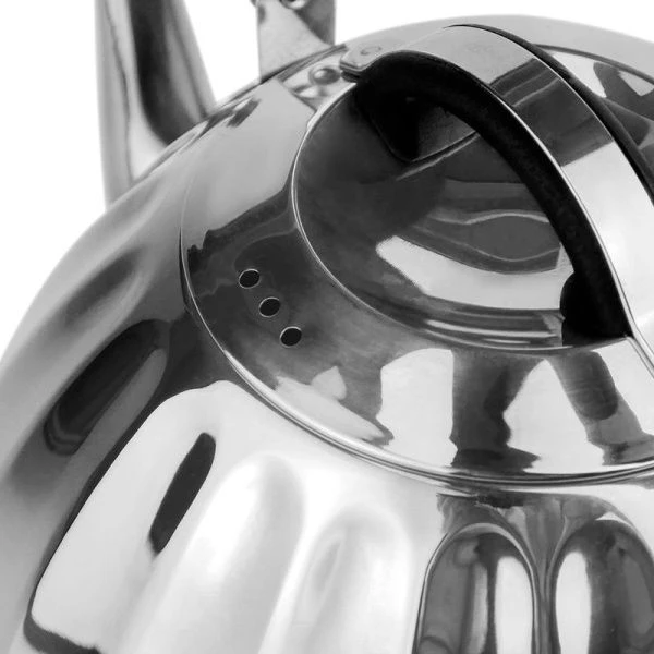 Чайник 2,5л нерж.сталь подвижн.силикон.ручка, индукц.капс.дно LR00-95 (12)