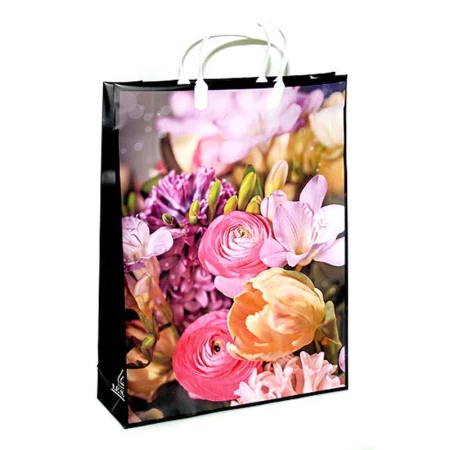 Пакет с пластиковой ручкой 32*42*10см Валенсия 03-131 бол. (20/200)