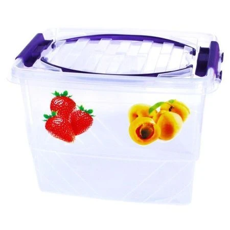 Контейнер пищевой 9л 31*21*22см пластик ПИКНИК мультибокс (20)