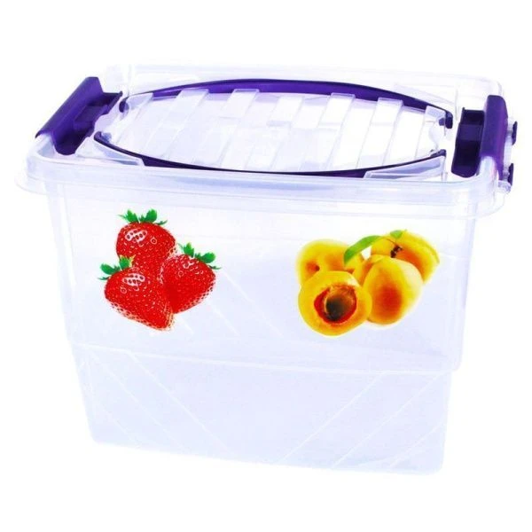 Контейнер пищевой 9л 31*21*22см пластик ПИКНИК мультибокс (20)