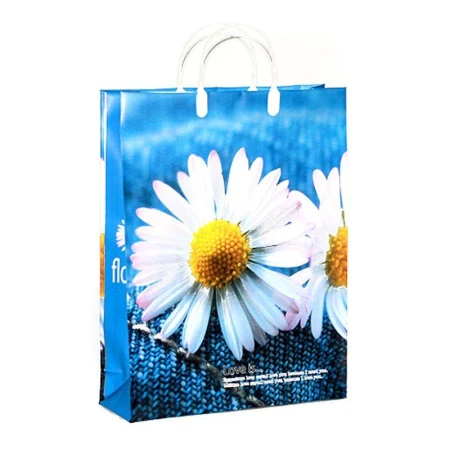 Пакет с пластиковой ручкой 32*42*10см Маргаритка 03-012 (20/200)