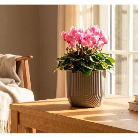 Кашпо 1л 150мм пластик РАМОНА со вставкой французcкий серый (12)