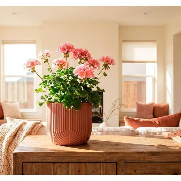 Кашпо 1л 150мм пластик РАМОНА со вставкой терракотовый (12)