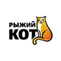 Рыжий кот