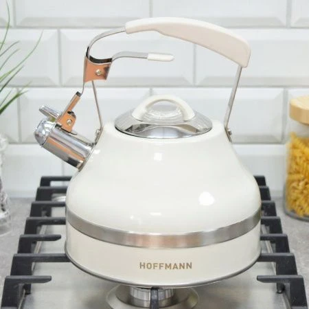 Чайник со свистком 3л нерж.сталь матовый бежевая ручка (12)